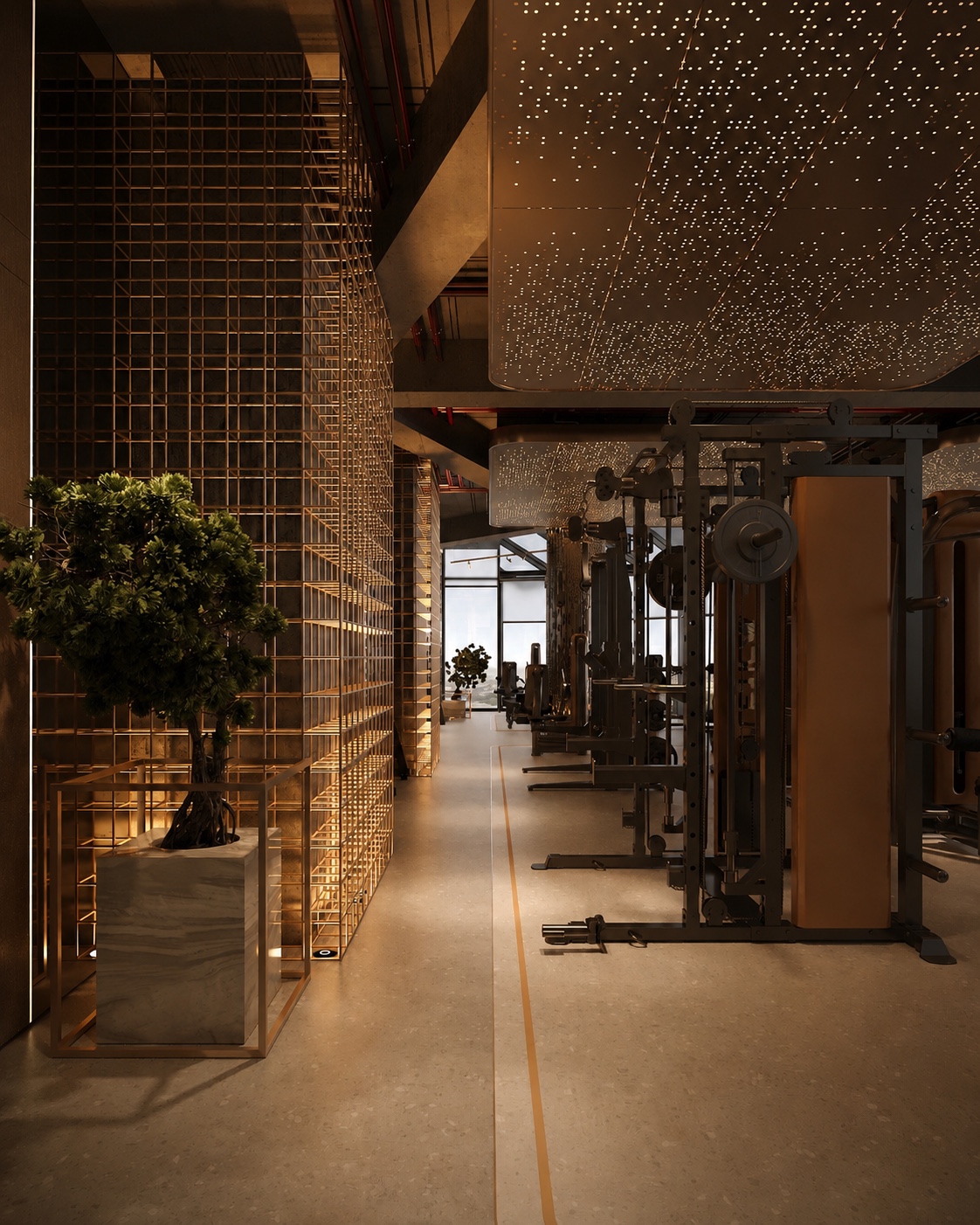 Premium gym interior